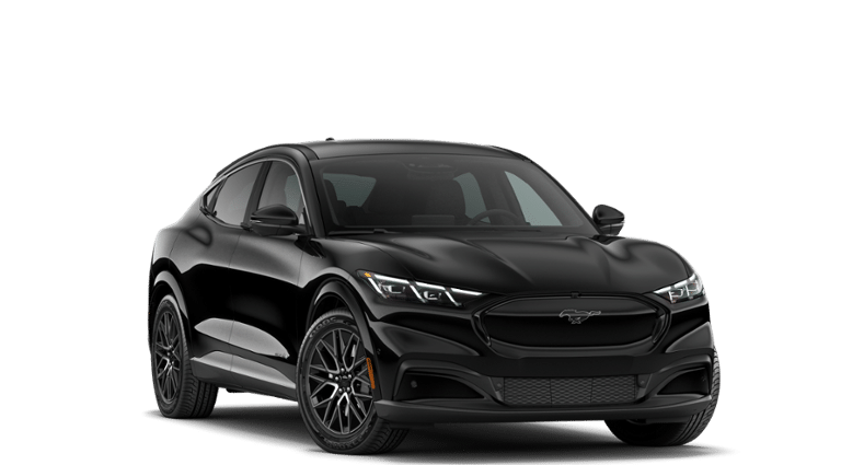 Mustang Mach-E® vehicle